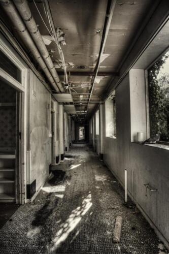 20140314- R5A6011 2 3 4 5-Edit