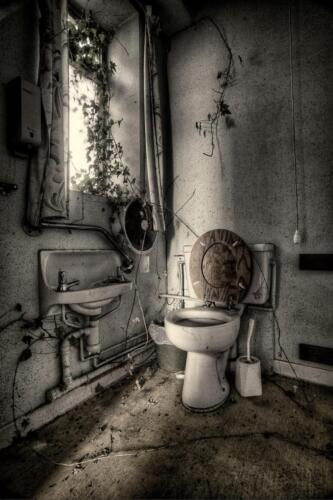 20140314- R5A6046 47 48 49 50-Edit