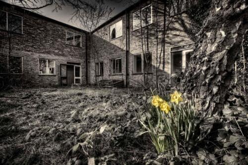 20140314- R5A6086 87 88 89 90-Edit