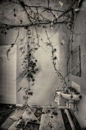 20140314- R5A6126 27 28 29 30-Edit