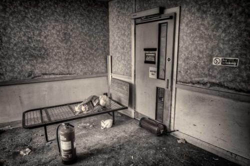 20140314- R5A6156 57 58 59 60-Edit