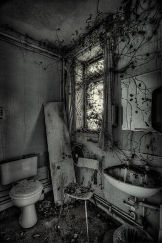 20140314- R5A6216 17 18 19 20-Edit