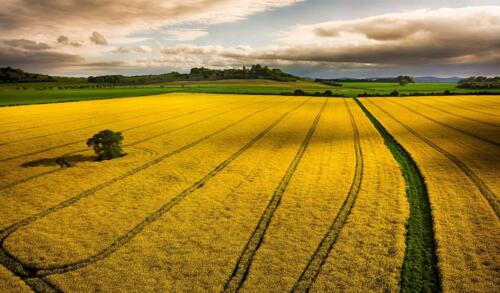 20180508-DJI 0139-HDR HDR-Edit