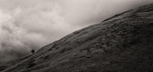 20160205- R5A0743-Edit