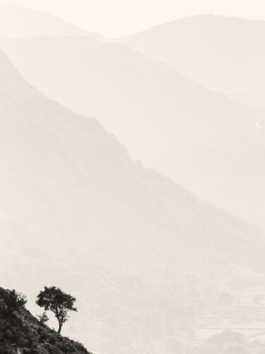 20160914- R5A7457-Edit-2-Edit-2