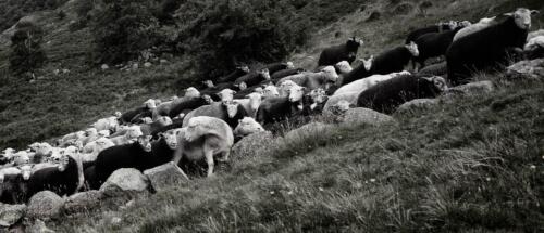 20200803- R5A8129-Edit