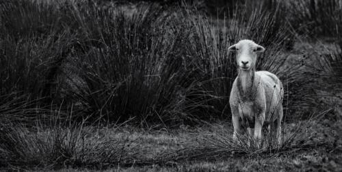 20200803- R5A8297-Edit