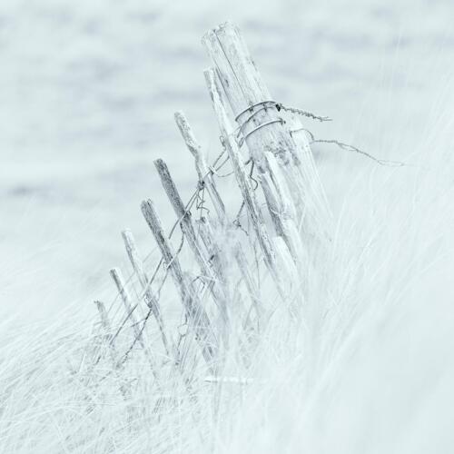 20211017- R5A4721-Edit