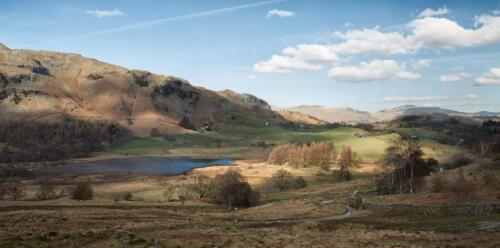 20140324- R5A7008-Edit