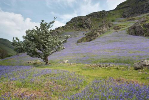 20140519- R5A8968-dualiso-Edit