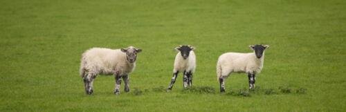 20140519- R5A8993-Edit