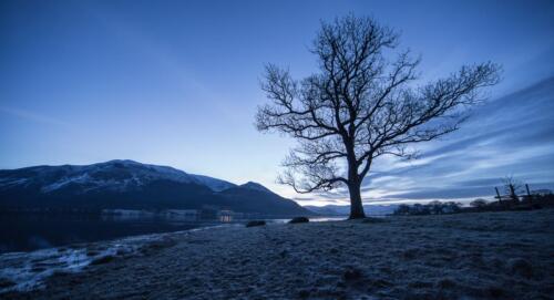 20150203- R5A1058-dualiso