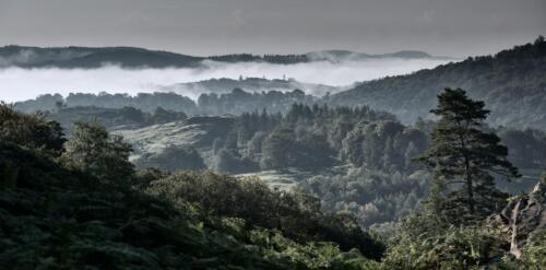 20150919- R5A6191-Edit