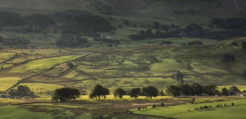 20160814- R5A5399-Edit-2