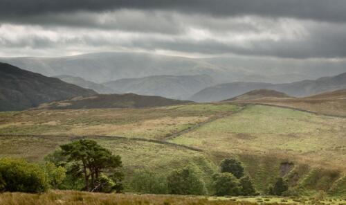 20160912- R5A6737-Edit-2