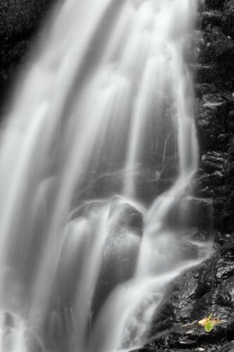 20160912- R5A6884-Edit-2