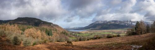 20190304-APC 0152-Pano-Edit