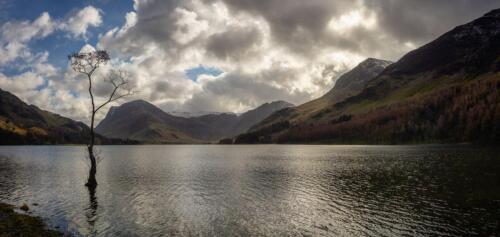 20190304-APC 0208-Pano-Edit