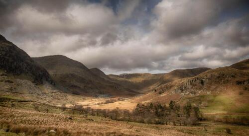 20200316-APC 0782-Edit