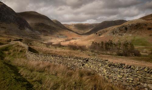 20200316-APC 0786-Edit