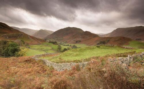 20211020- R5A5331-Edit