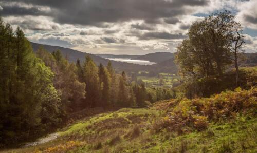 20211022- R5A6388-HDR-Edit