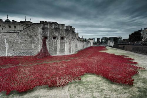 20140809- R5A7777-Edit