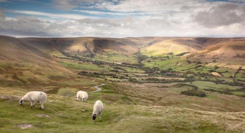 20181001- R5A6650-Edit