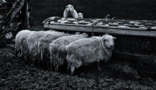 20160101- R5A7608-Edit