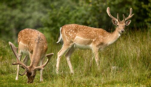 20160724- R5A2952-Edit