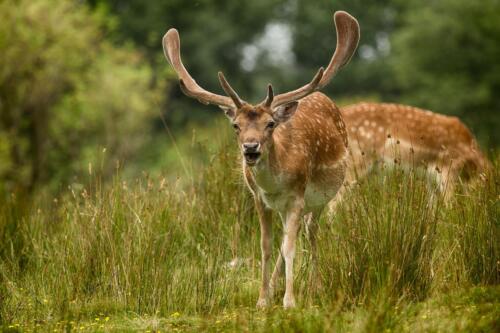 20160724- R5A2996-Edit