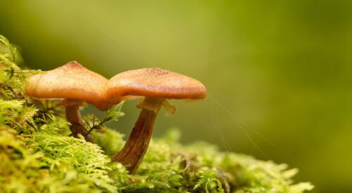 20181003- R5A6958-Edit