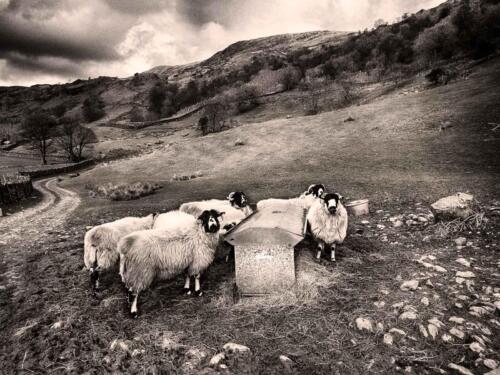 20200316-APC 0874-Edit