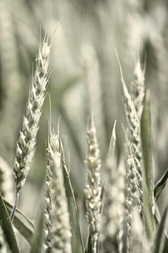 20200607- R5A6917-Edit