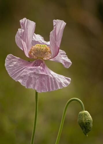 20200607- R5A7046-Edit