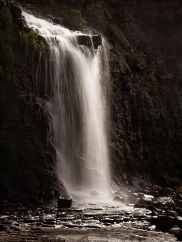 20200222- R5A6664-Edit