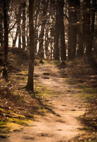 20140316- R5A6622-Edit