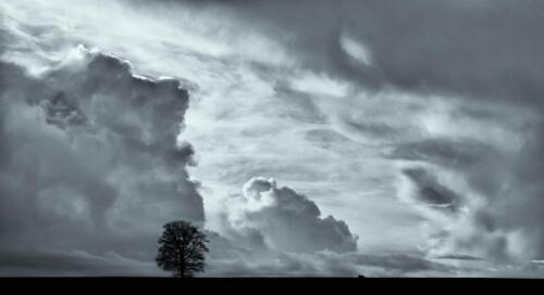 20160110-IMG 1990-Edit-Edit