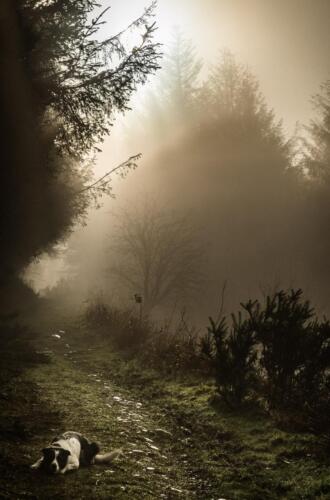 20160102- R5A7689-HDR