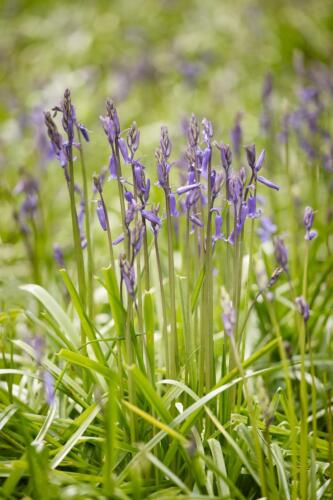 20160423- R5A6005-Edit