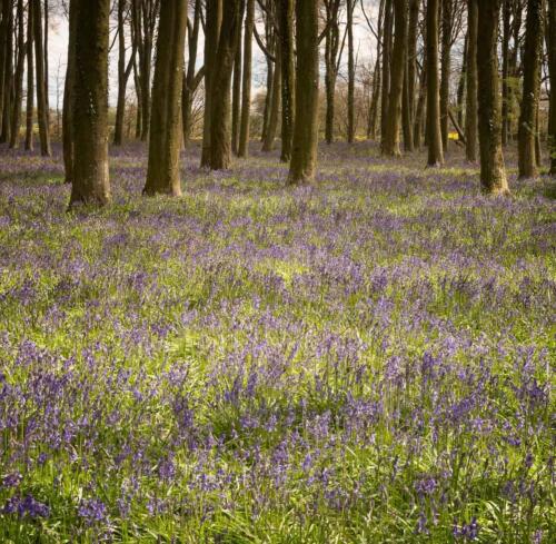 20160423- R5A6014-Edit