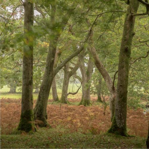 20211019- R5A5266-HDR